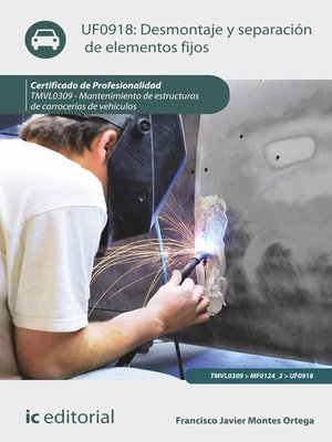 cover image of Desmontaje y separación de elementos fijos. TMVL0309